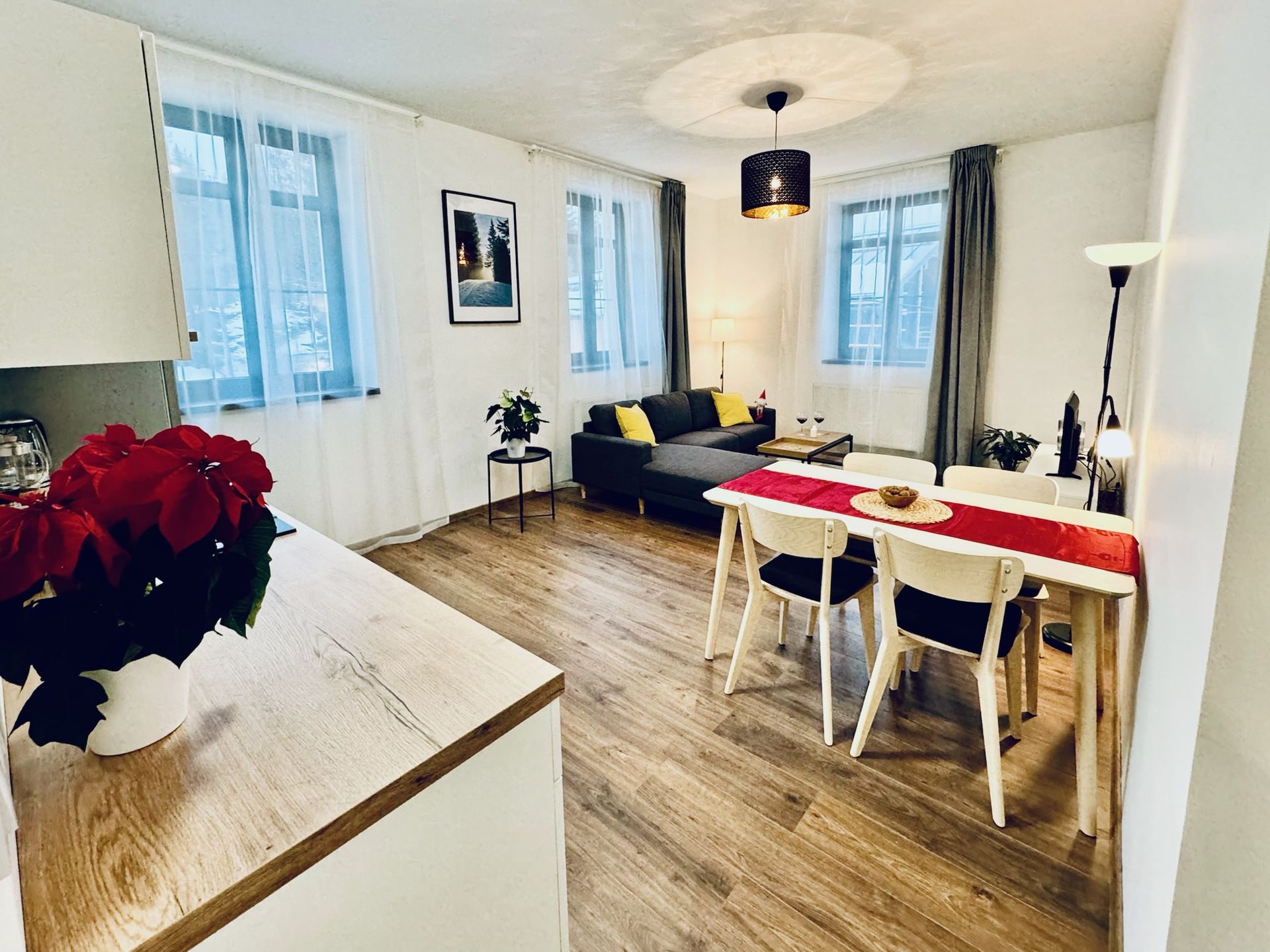 Apartmán C, Apartmány Mariánská